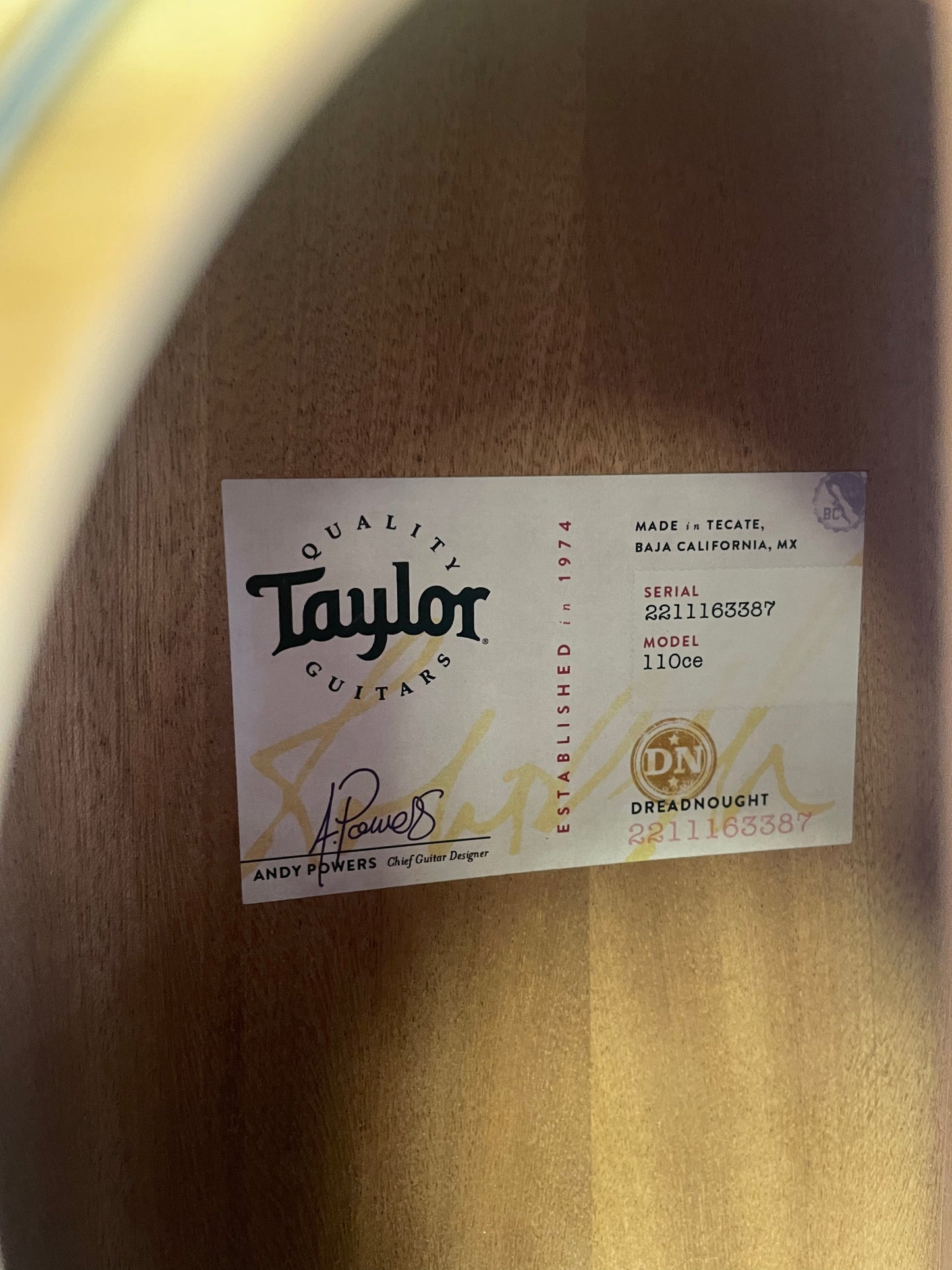 Taylor 110ce-S (NEW)