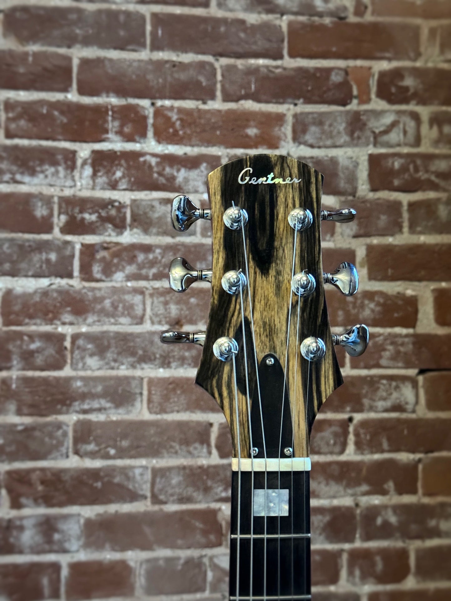 Gentner Semi Hollow Guitar