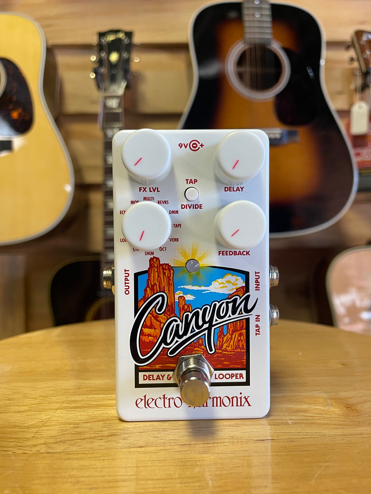 Electro-Harmonix Canyon Delay and Looper Pedal (NEW)