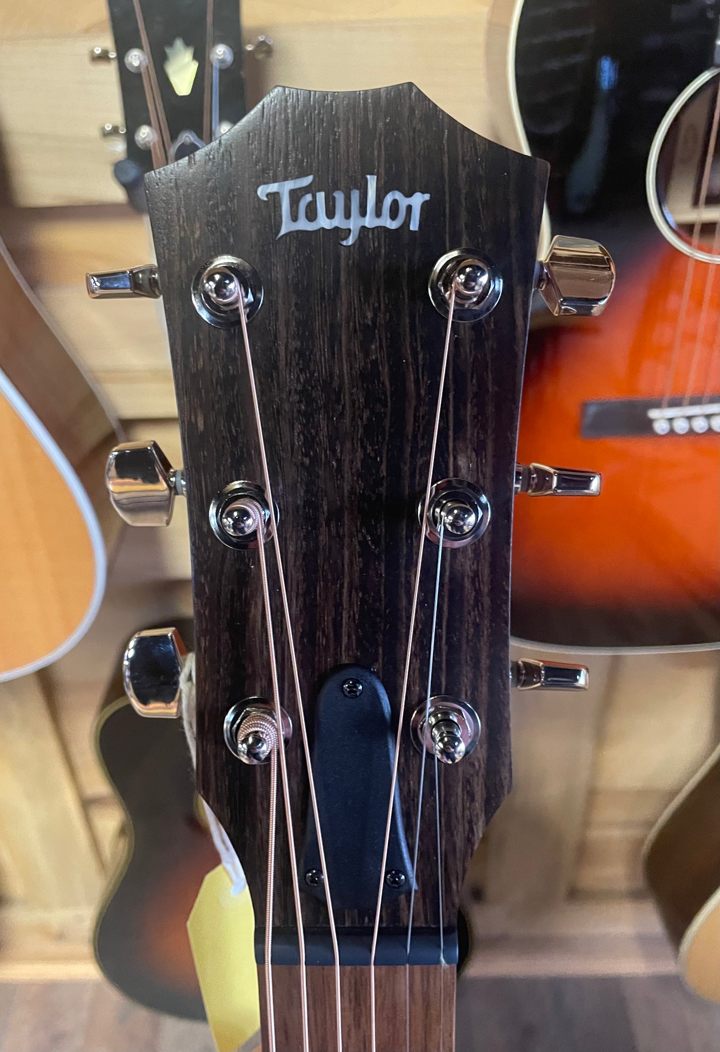 Taylor AD24ce (NEW)