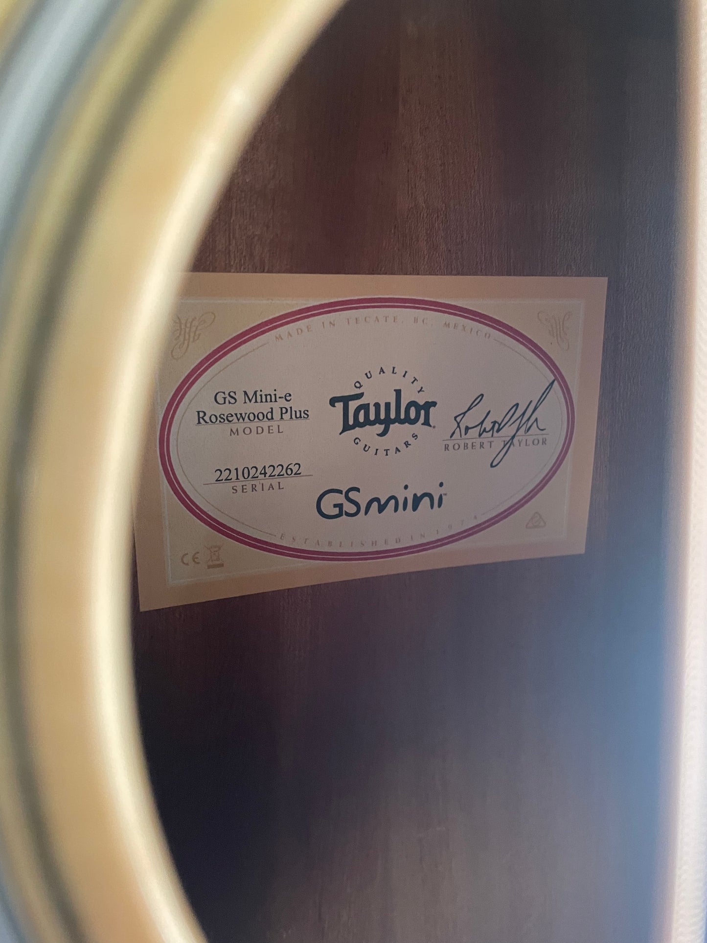 Taylor GS Mini-e Rosewood Plus (NEW)