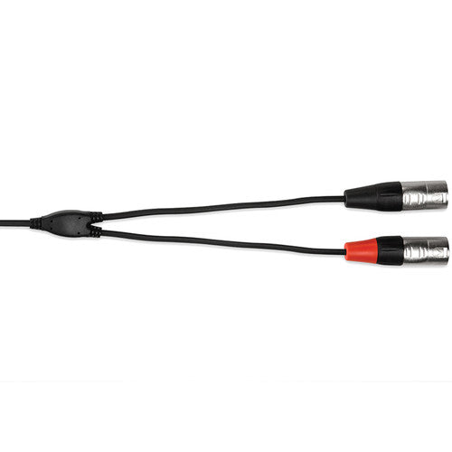 Hosa Technology Pro Stereo Breakout Cable - 3.5mm Stereo Mini to Dual 3-Pin XLR Male (6')