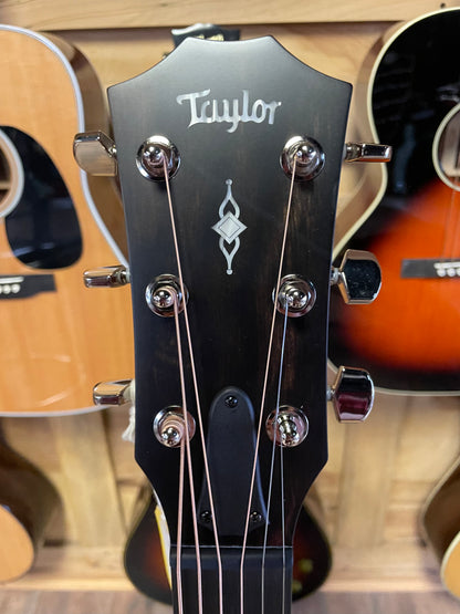 Taylor 314ce Special Edition (NEW)