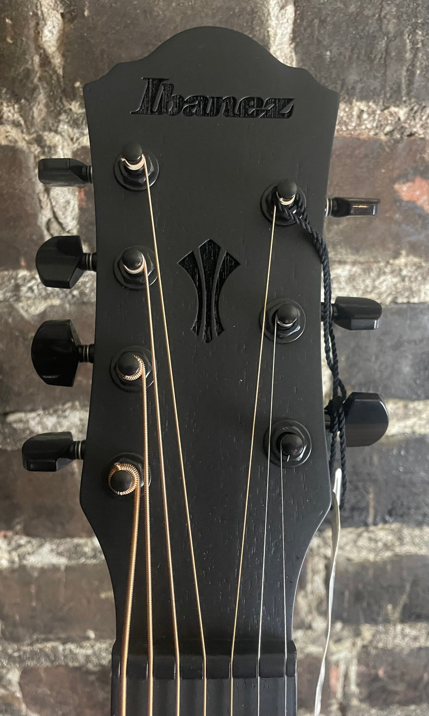 Ibanez AEG721 7-string Acoustic-electric Guitar - Black Out