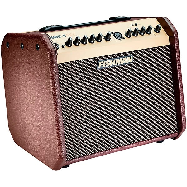 Fishman Loudbox Mini BT 60-watt 1 x 6.5-inch Acoustic Combo Amp – Allen  Music Shop