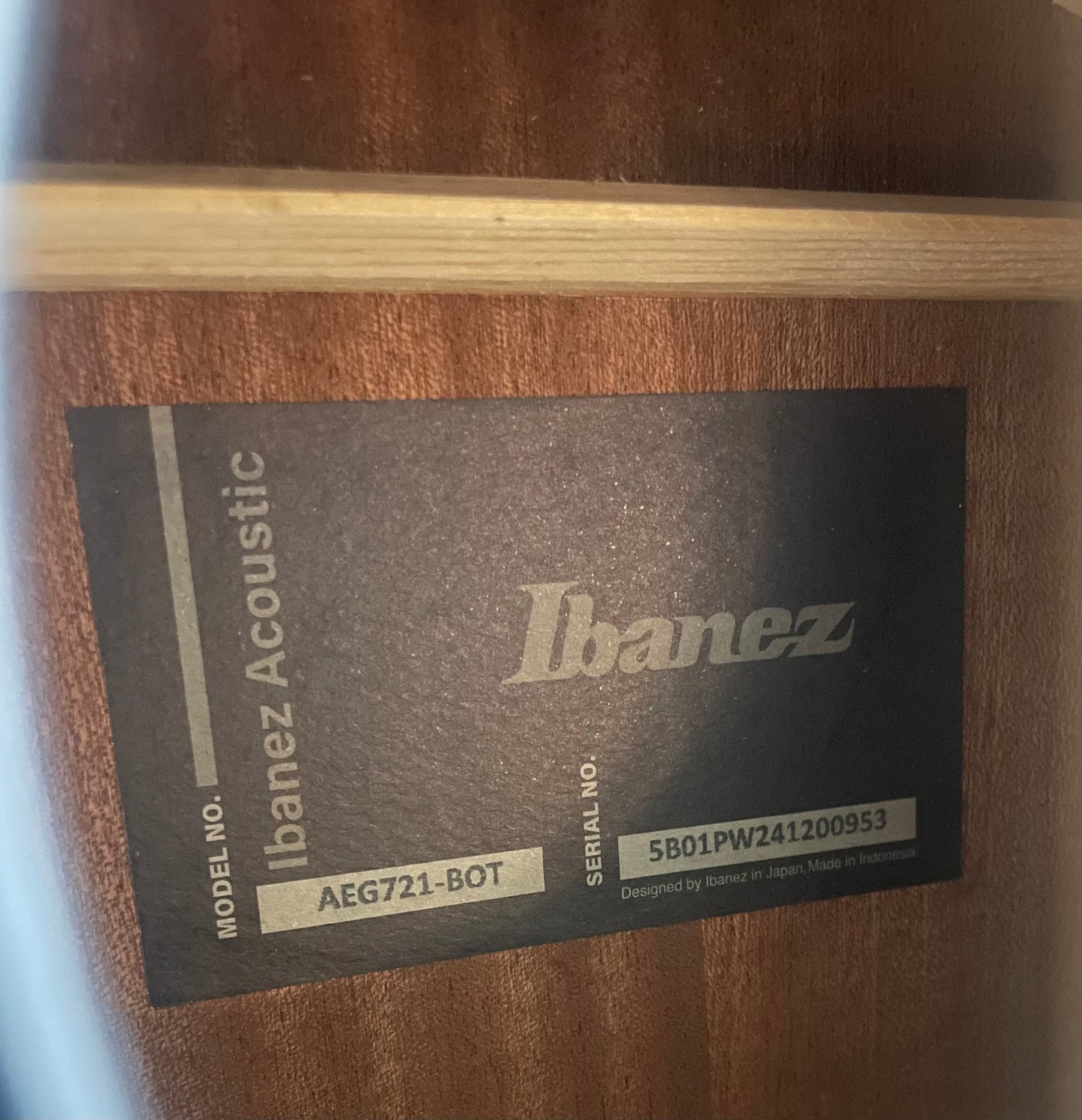 Ibanez AEG721 7-string Acoustic-electric Guitar - Black Out