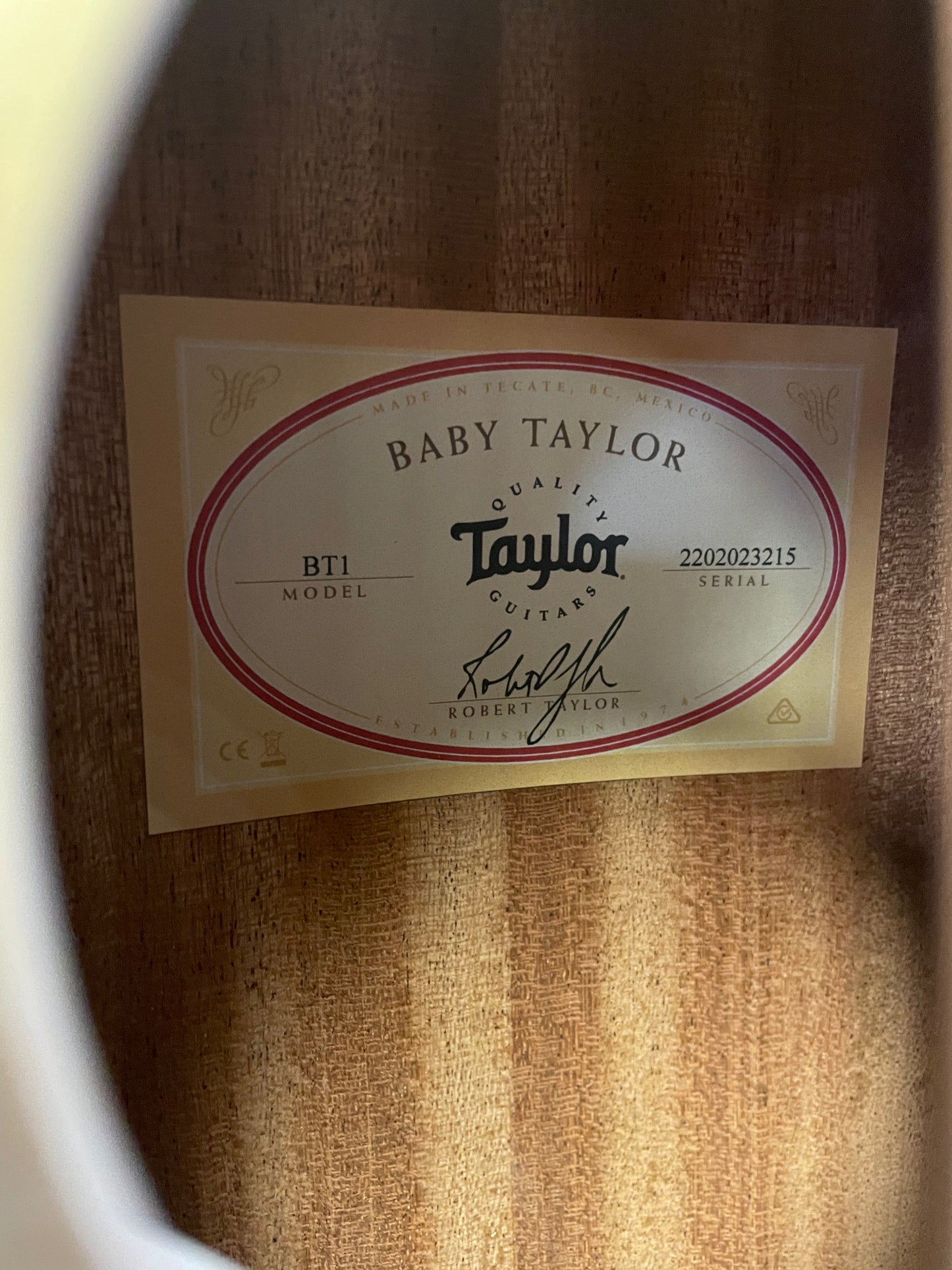 Taylor BT1