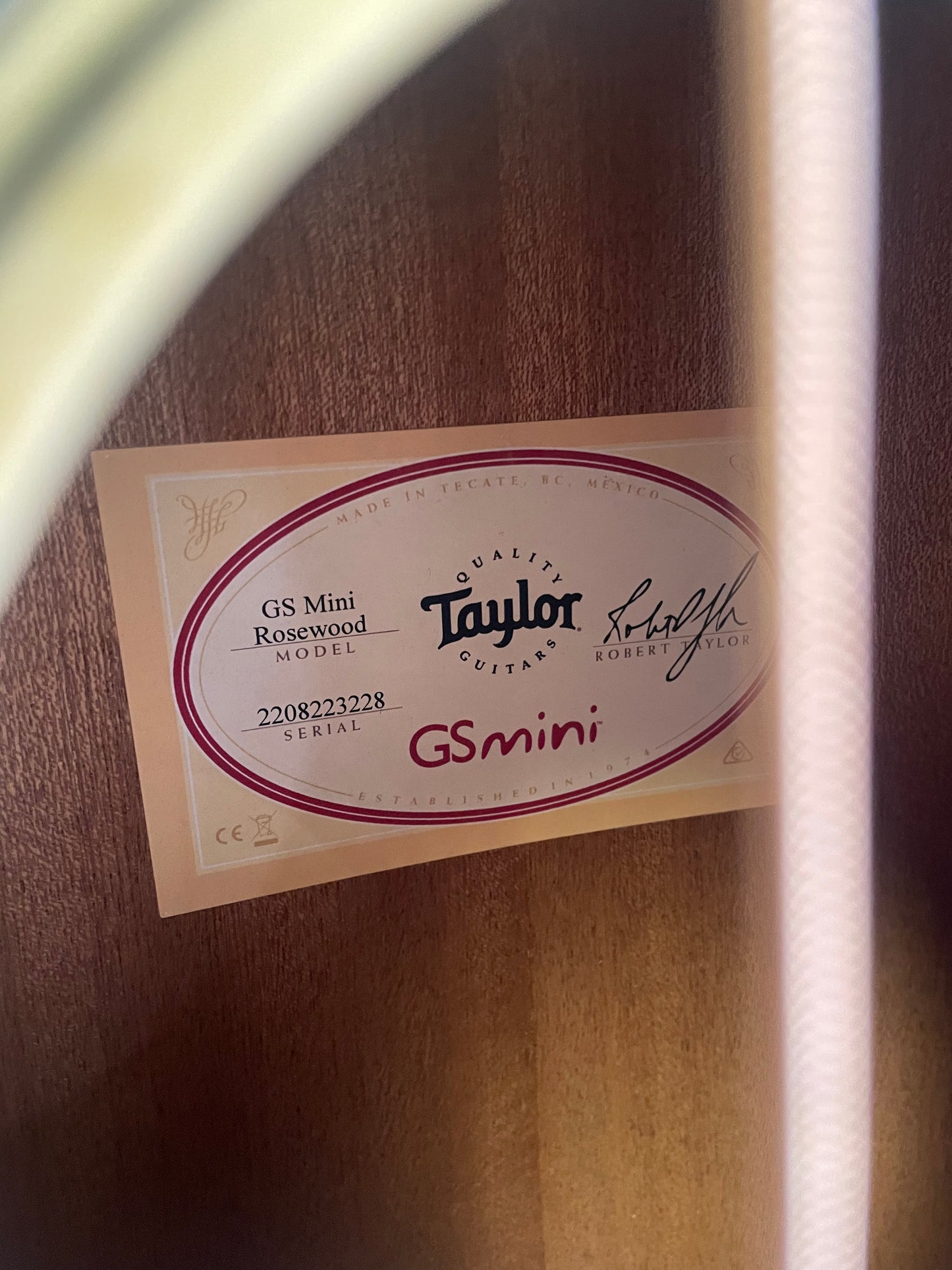 Taylor GS Mini Rosewood (NEW)