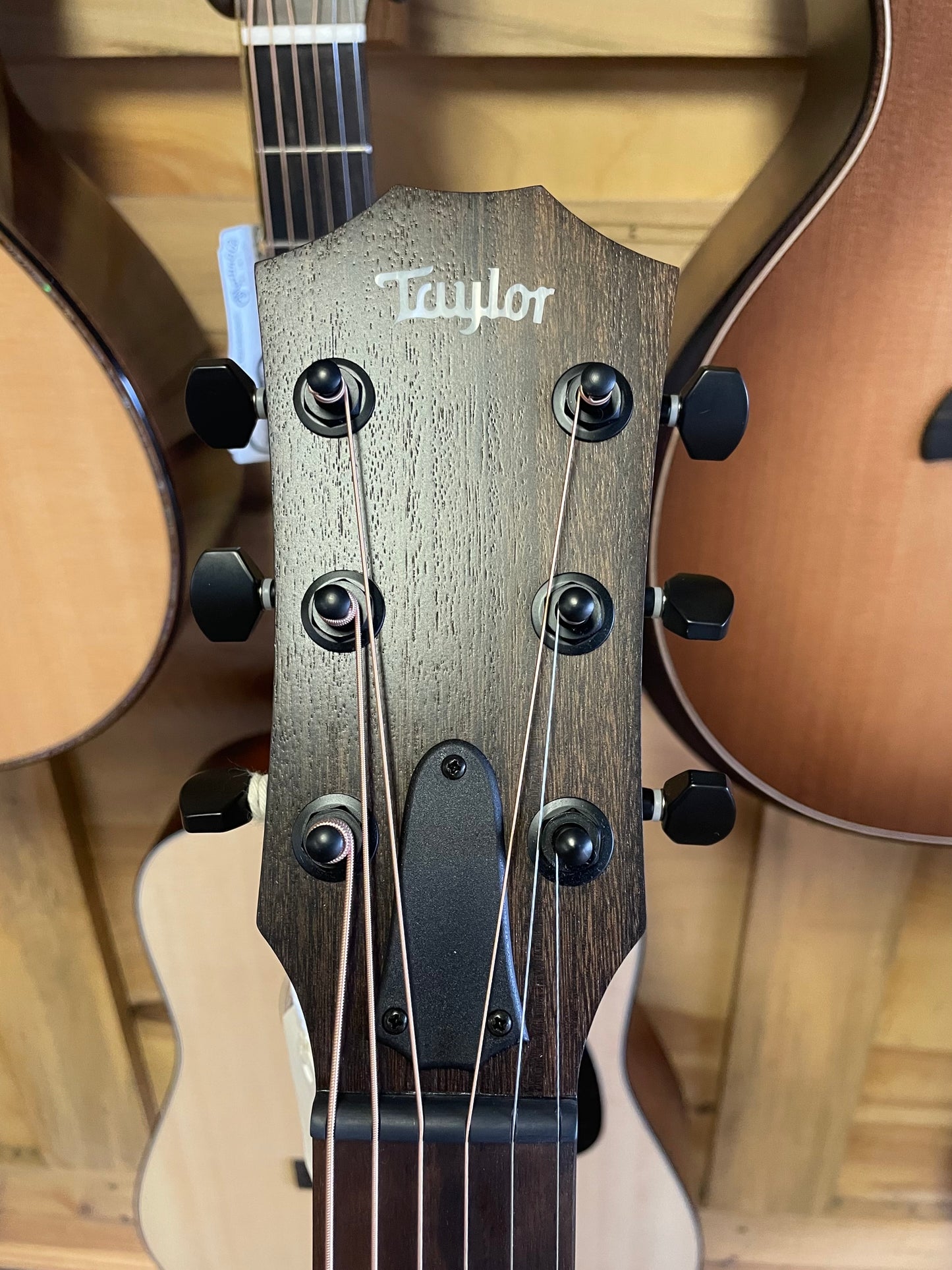 Taylor AD11e-SB (NEW)