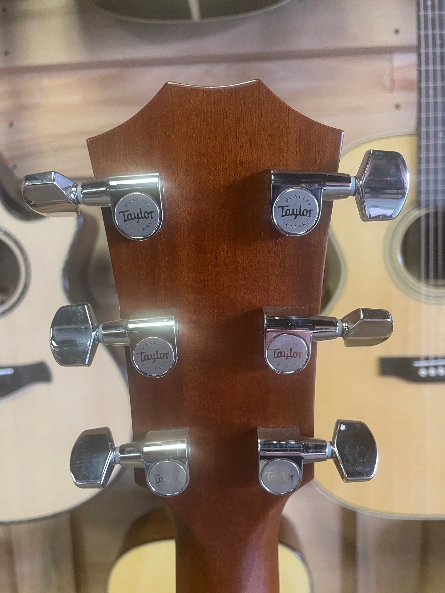 Taylor 514ce Urban Red Ironbark