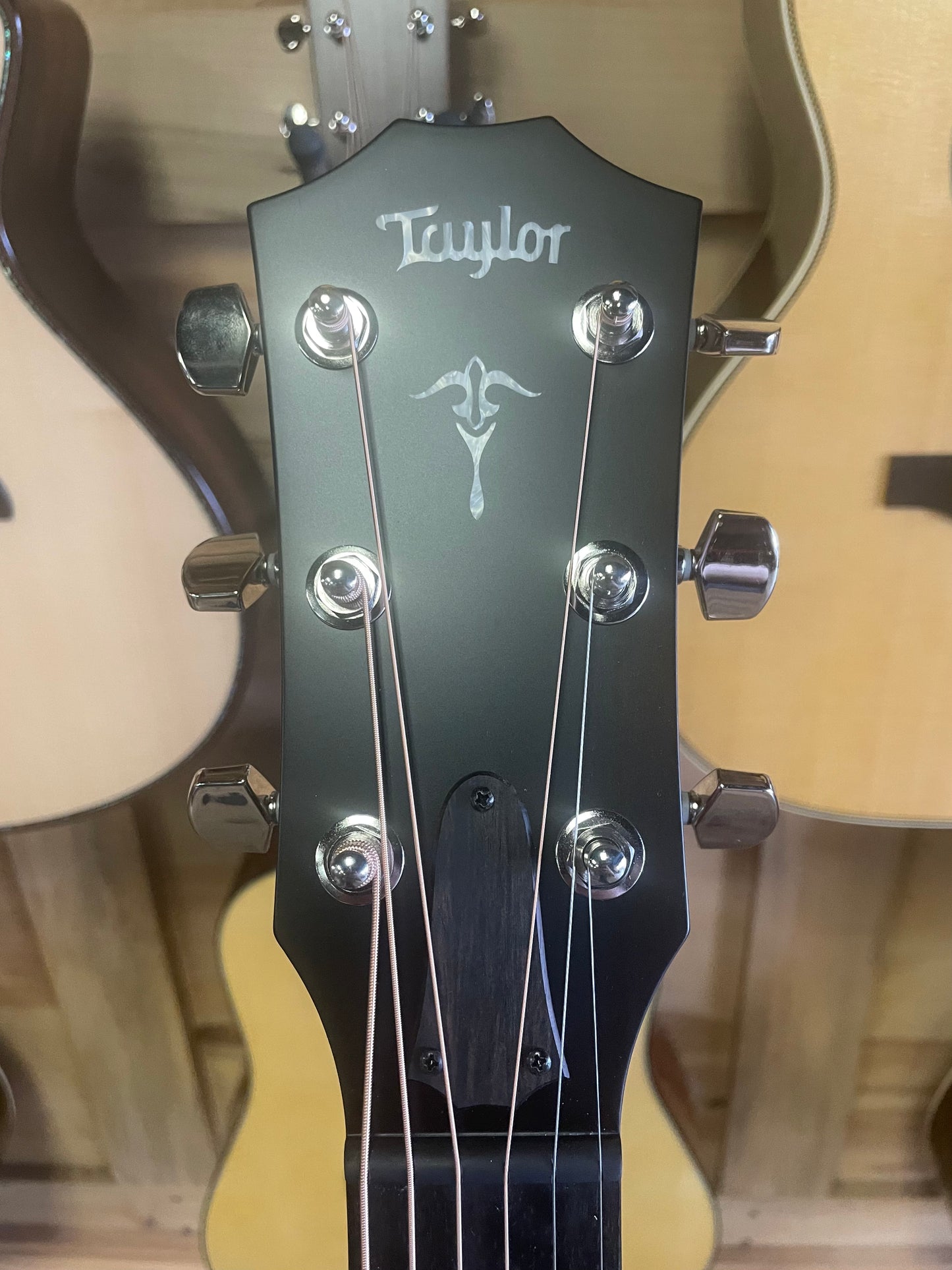 Taylor 514ce Urban Red Ironbark