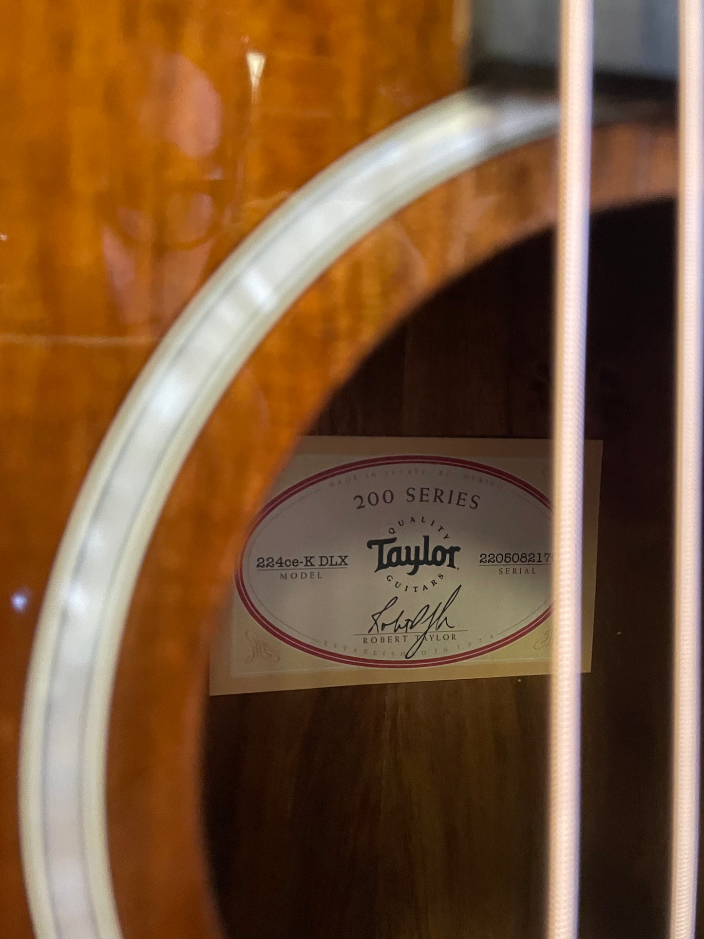 Taylor 224ce-K DLX (NEW)
