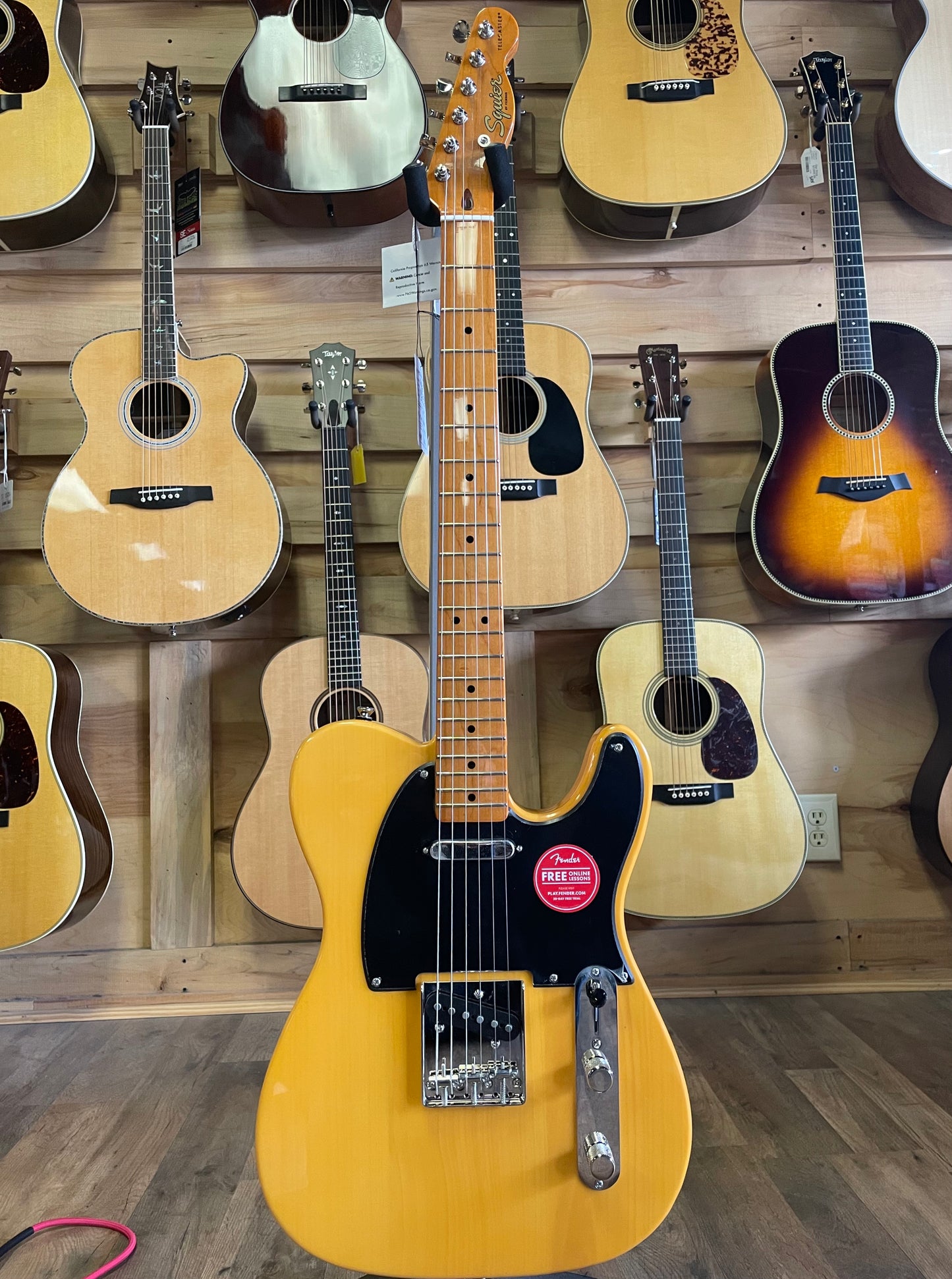 Squier Classic Vibe '50s Telecaster-Butterscotch (NEW)