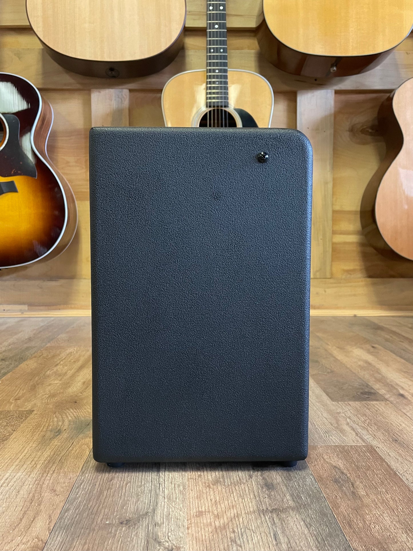 Fender Mustang LT25 25-Watt 1x8" (NEW)