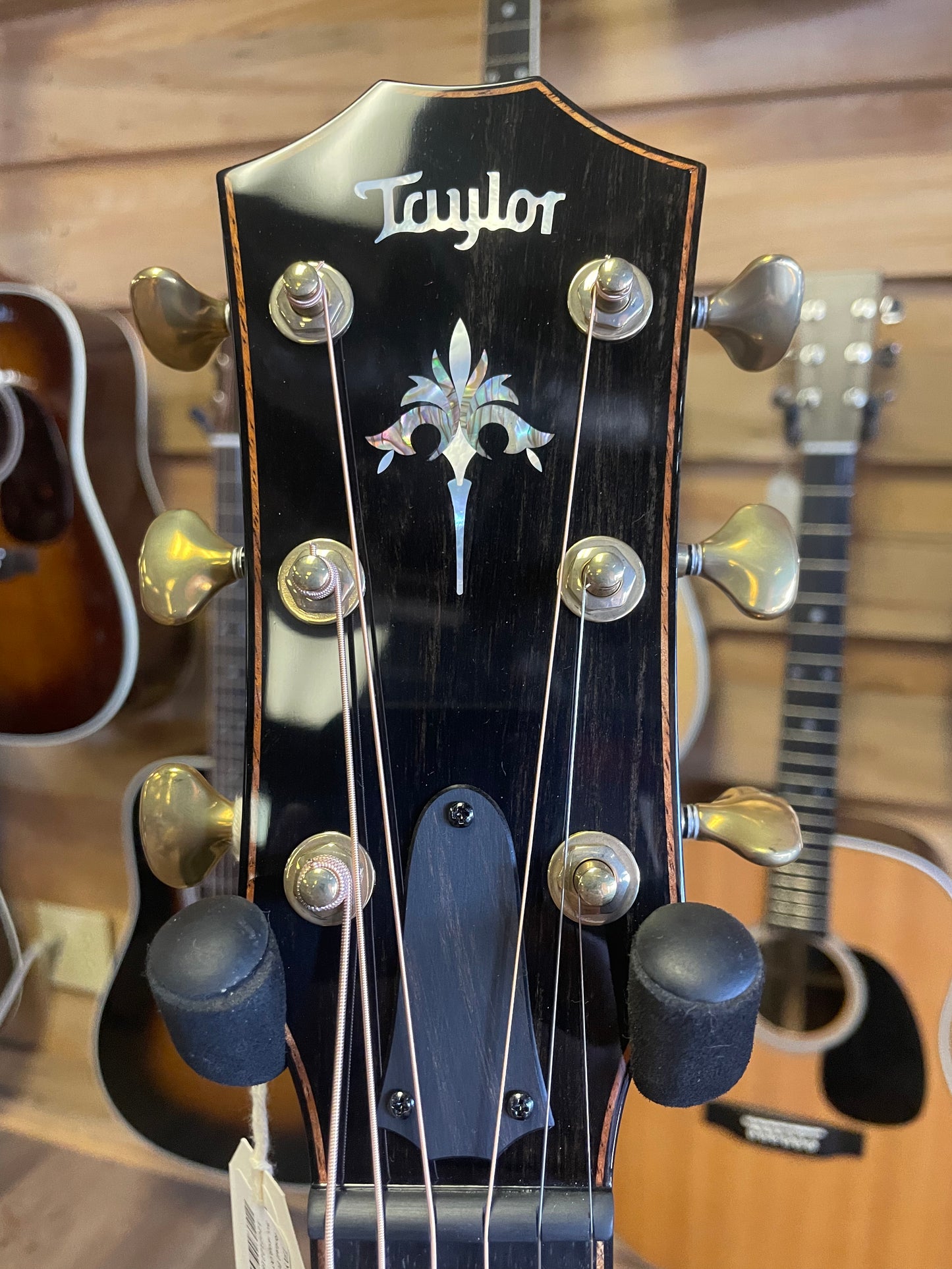 Taylor 914ce (NEW)