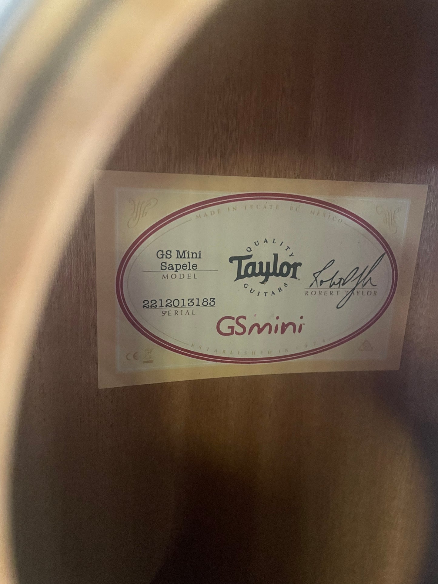 Taylor GS Mini Sapele (NEW)