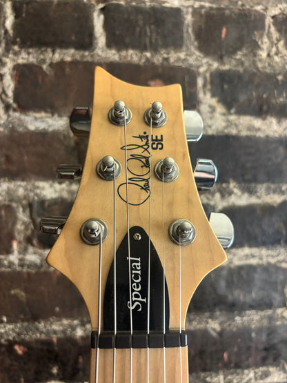 PRS SE Swamp Ash Special 2023 - Present (USED)