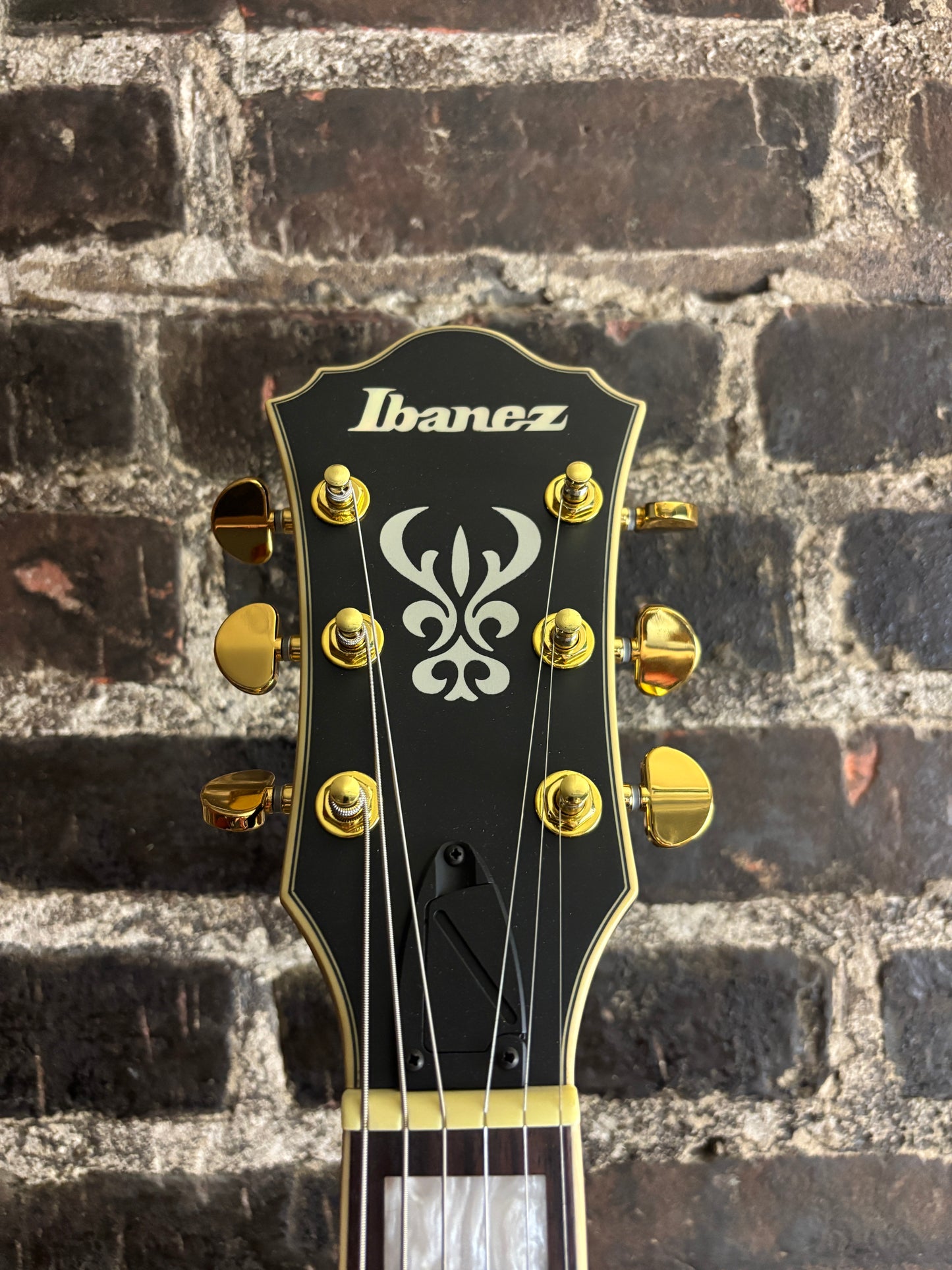 Ibanez AS73GBKF