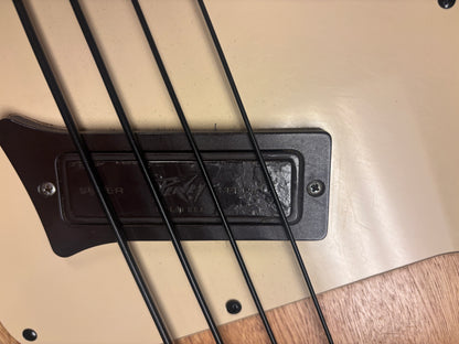 Peavey T-20 (USED)