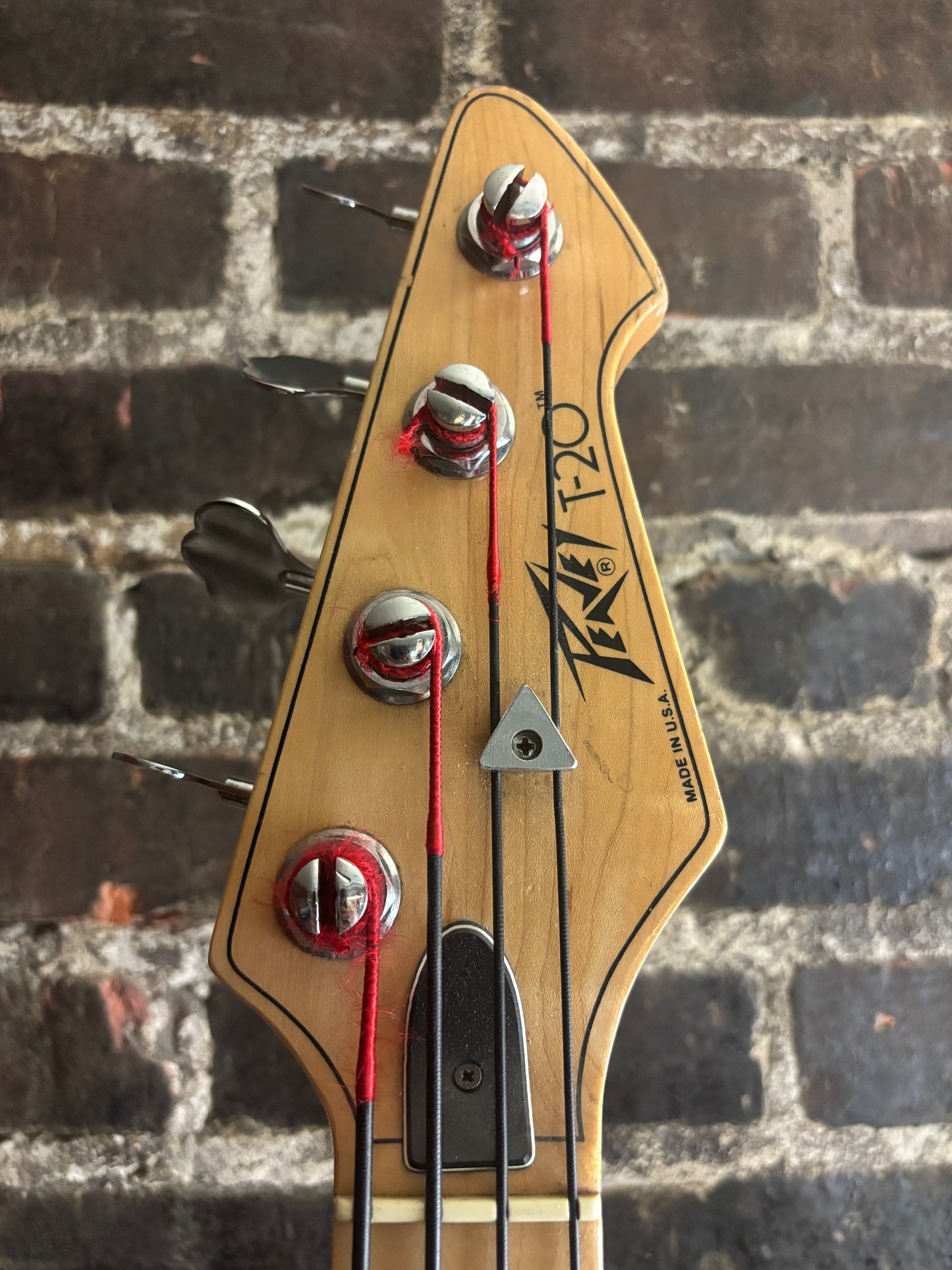 Peavey T-20 (USED)