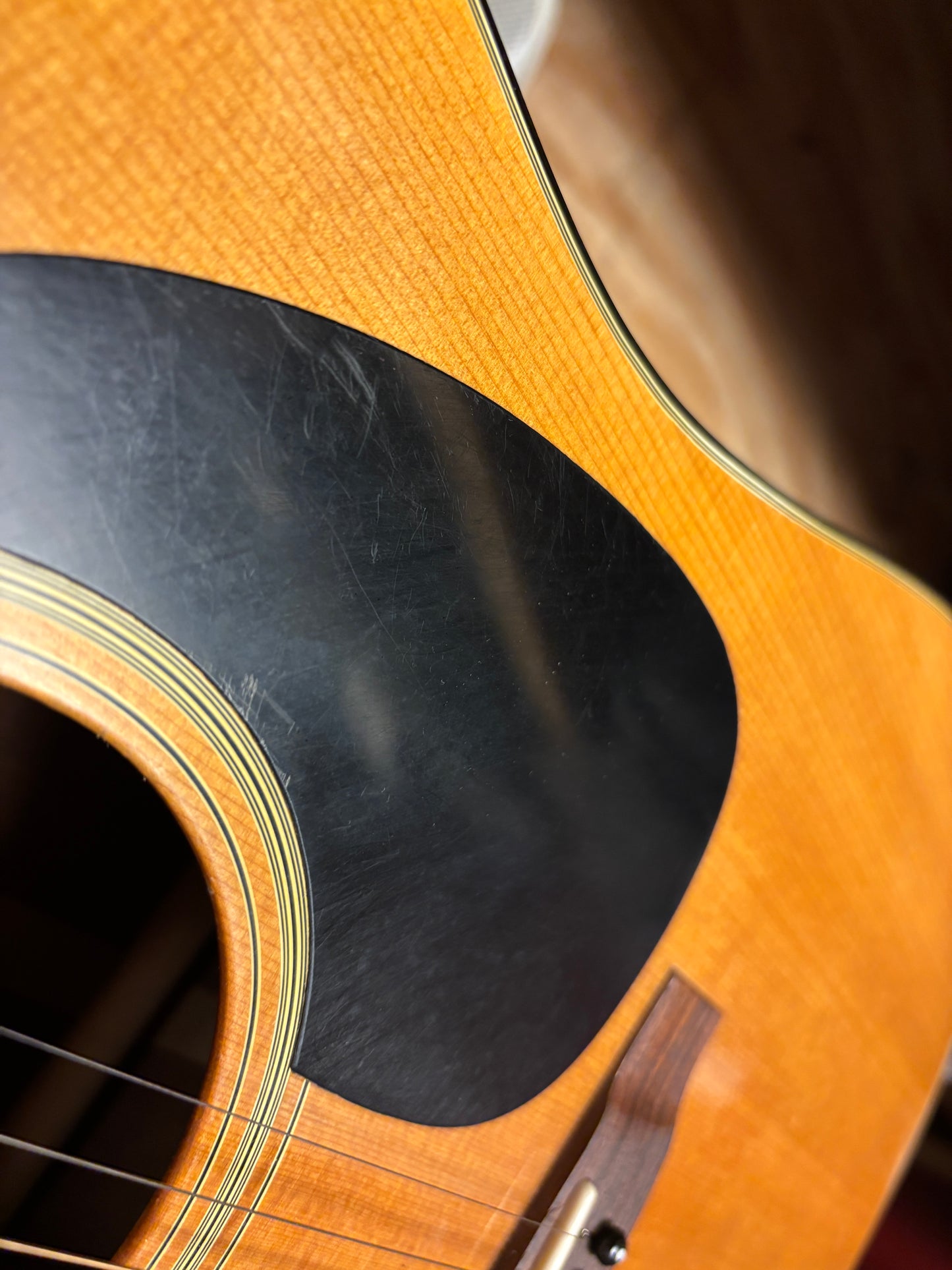 1974 Takamine F340SD (USED)