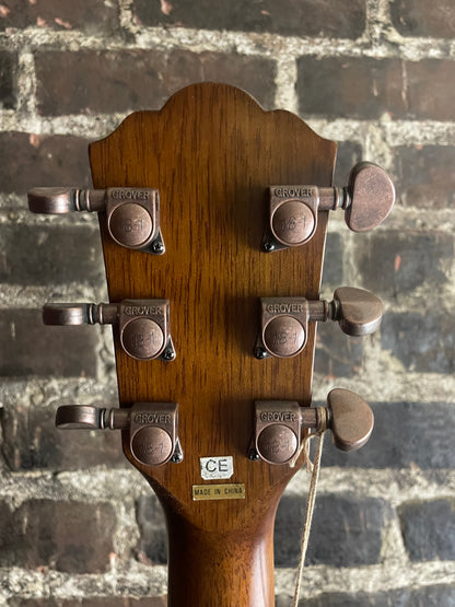 Washburn HB32DM Hollowbody Electric - Distressed Matte (USED)