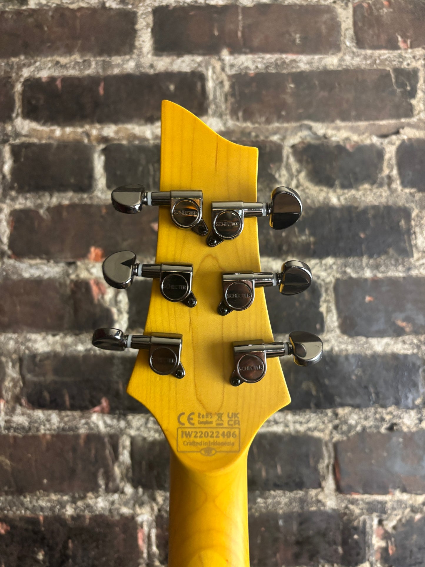 Schecter Demon-6 (USED)