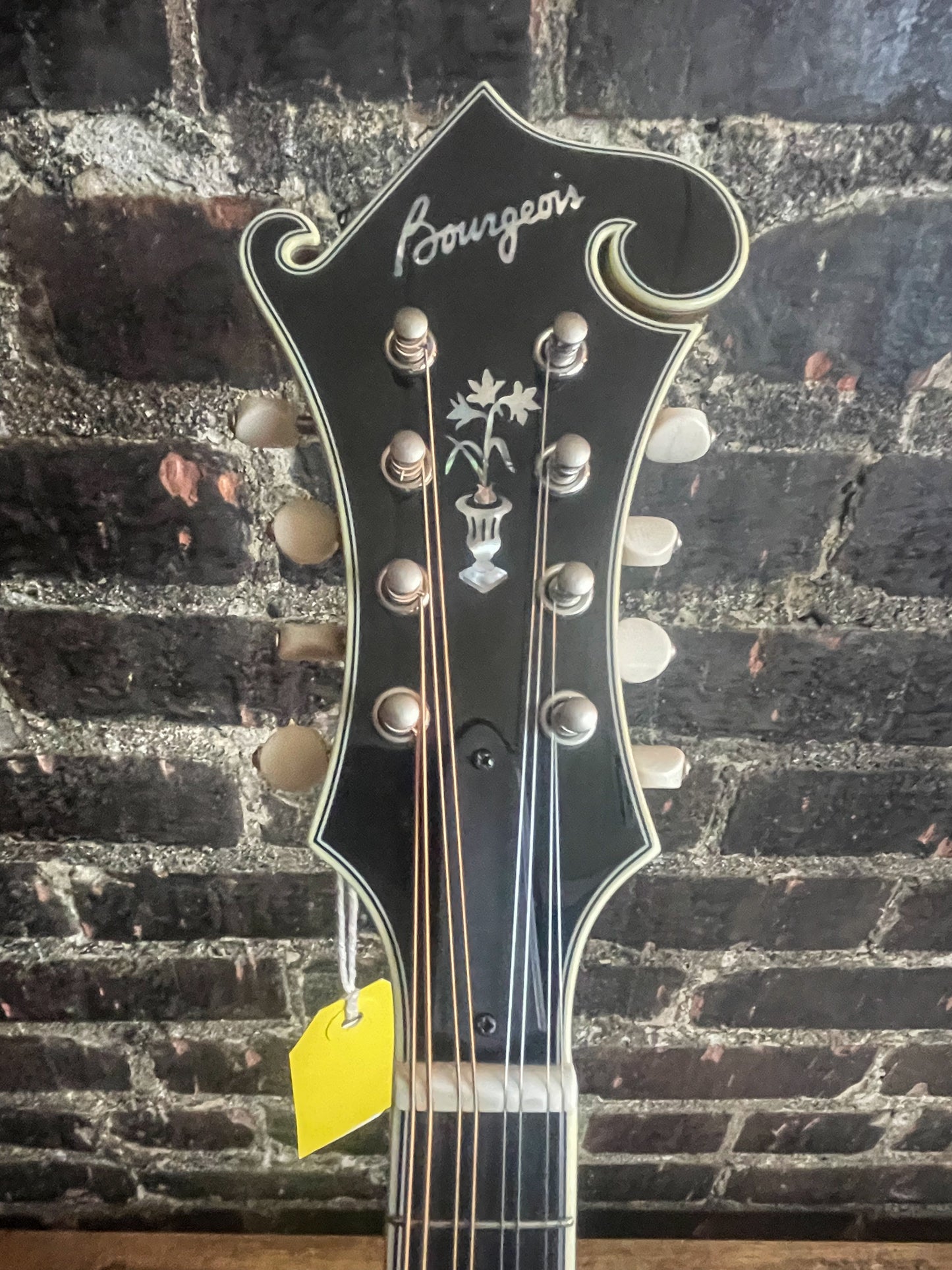 Bourgeois M5 F Style Mandolin – Torrefied