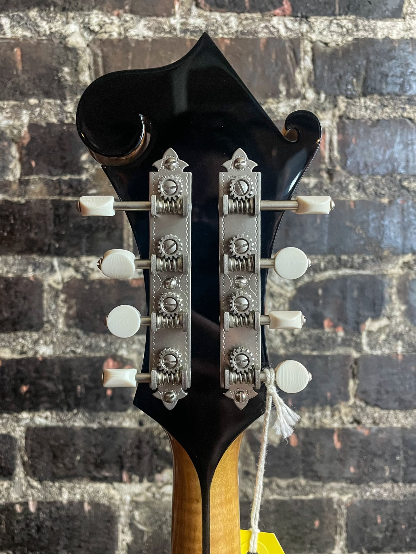 Bourgeois M5 F Style Mandolin – Torrefied