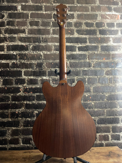 Washburn HB32DM Hollowbody Electric - Distressed Matte (USED)