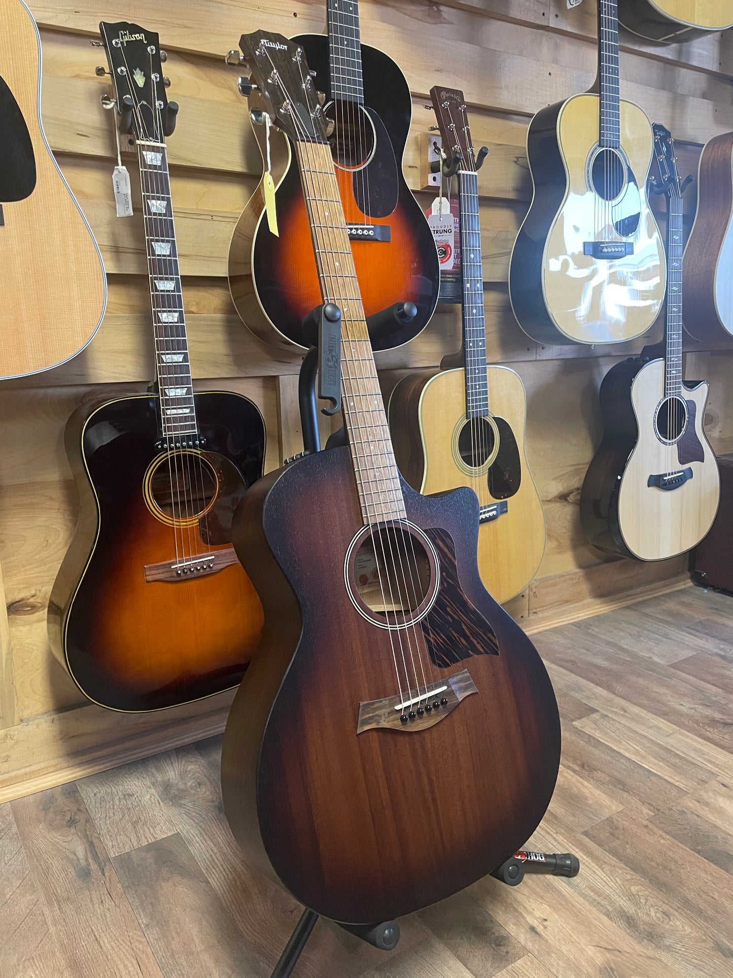 Taylor AD24ce (NEW)