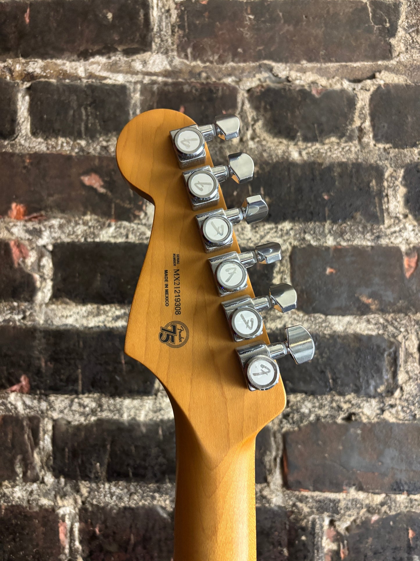 Fender Player Plus Stratocaster (USED)