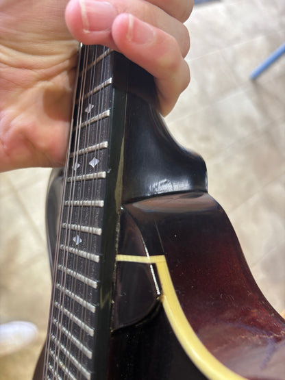Weber Bitterroot (USED)
