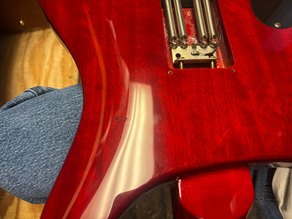 PRS SE Custom 24 (USED)