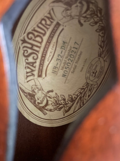 Washburn HB32DM Hollowbody Electric - Distressed Matte (USED)