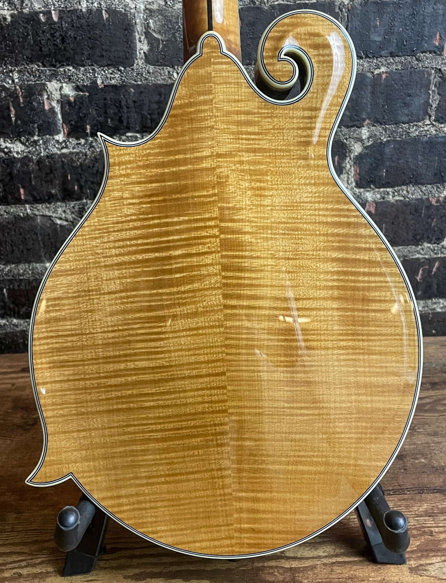 Bourgeois M5 F Style Mandolin – Torrefied