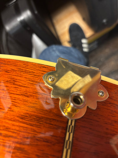 Ace Swingmaster hollowbody electric guitar (USED)