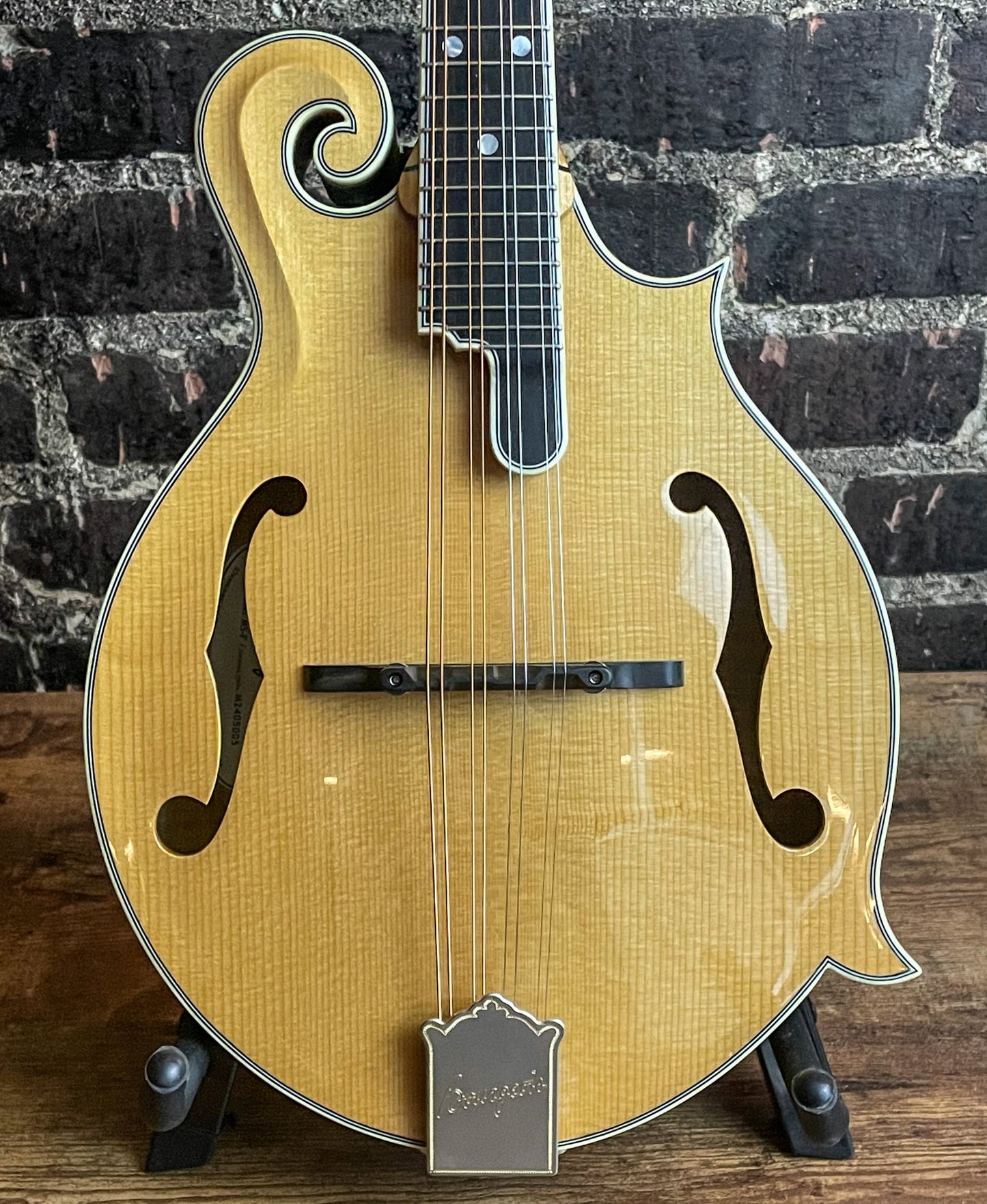 Bourgeois M5 F Style Mandolin – Torrefied