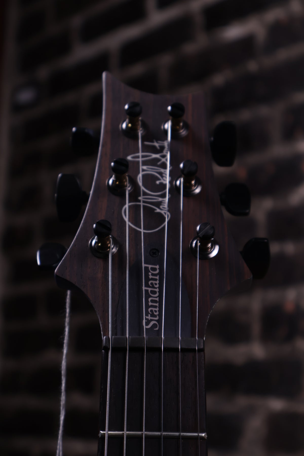 PRS Standard 24 Satin Guitar Frost Blue Metallic