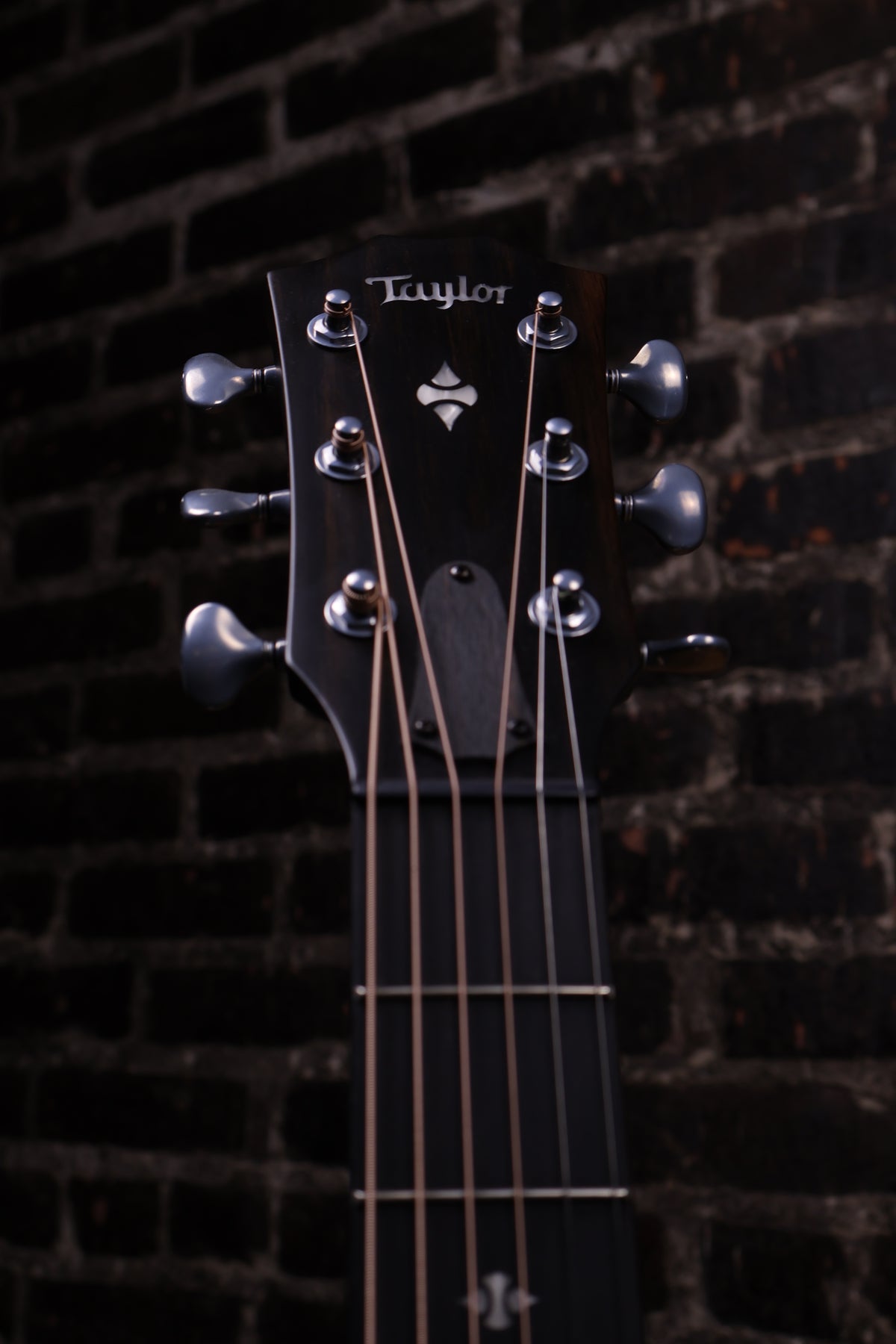 Taylor Builder's Edition 524ce Grand Auditorium Acoustic-electric Guitar - Tobacco Kona Burst