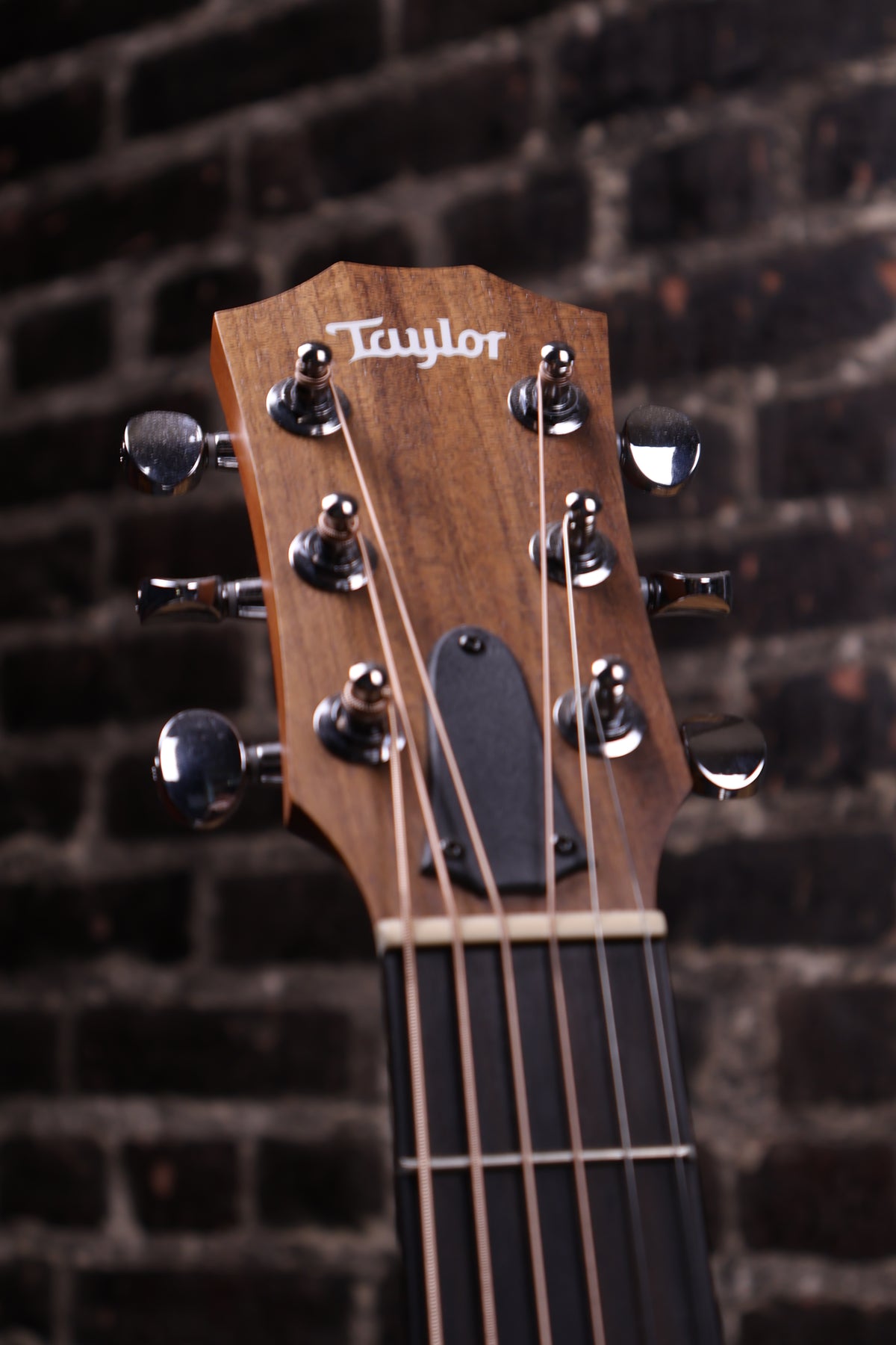 Taylor Guitars 4 Vets GS Mini Special Edition Acoustic Guitar - Desert Camo