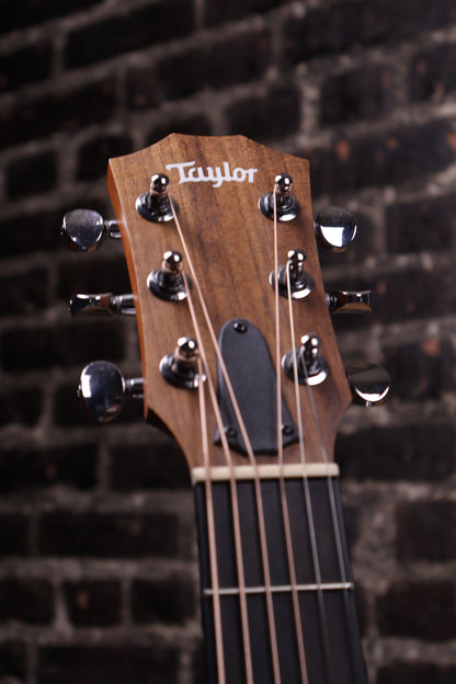 Taylor Guitars 4 Vets GS Mini Special Edition Acoustic Guitar - Desert Camo