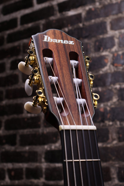 Ibanez FRH10N Nylon-String Acoustic-Electric Guitar - Rose Gold Metallic Flat