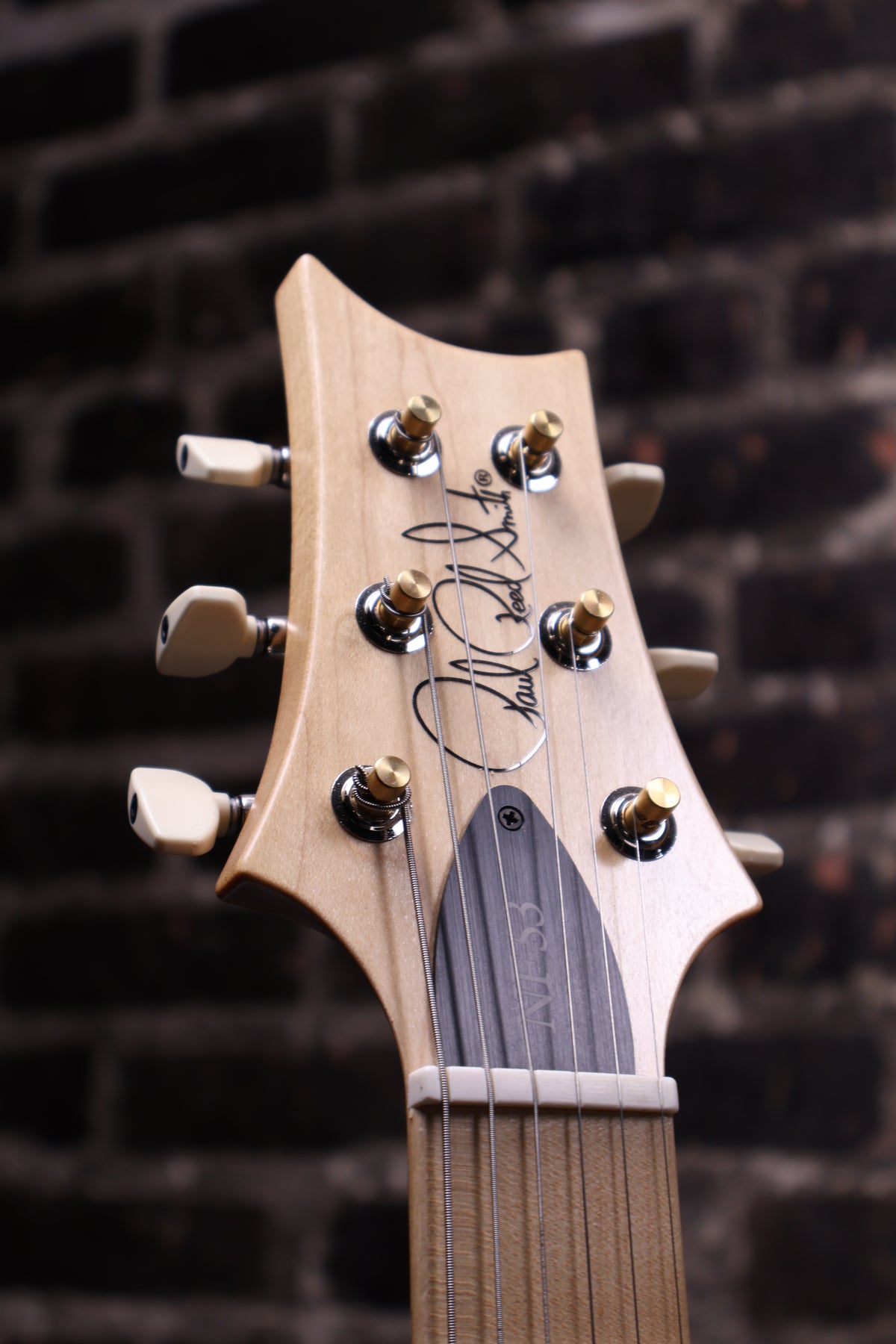 PRS SE NF 53 Electric Guitar - White Doghair