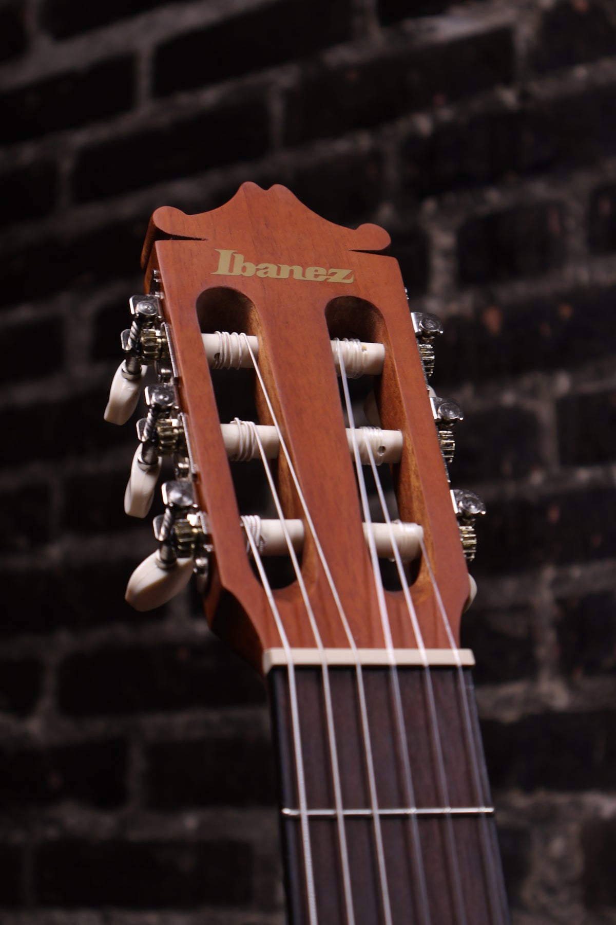 Ibanez GA3OAM Classical Acoustic Guitar Amber