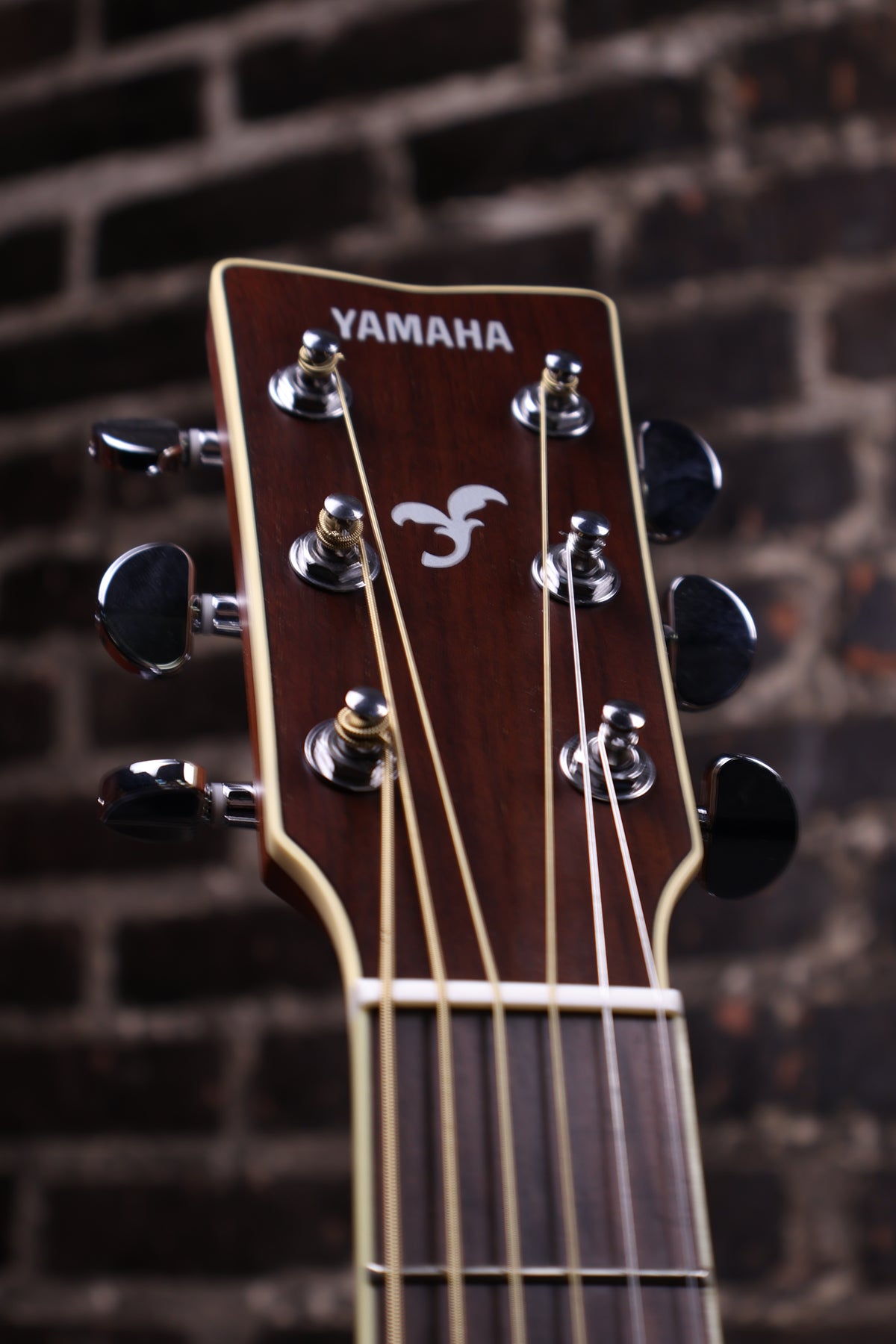 Yamaha FS830 Acoustic Guitar - Dusk Sun Red