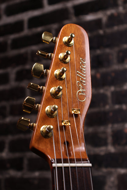 WALLACE TSCHAM Electric Guitar (USED)