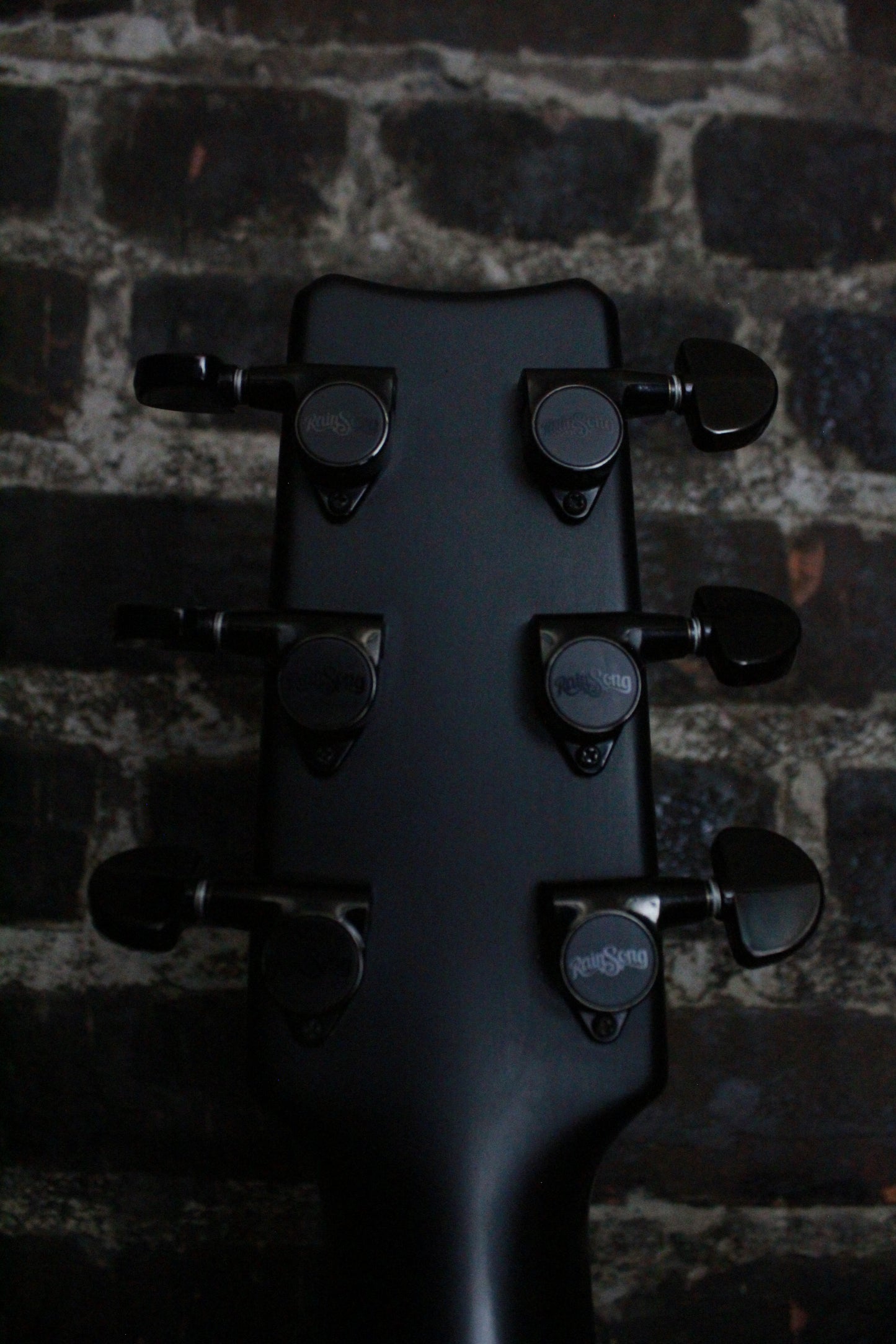 RainSong CH-OM1000NS (USED)