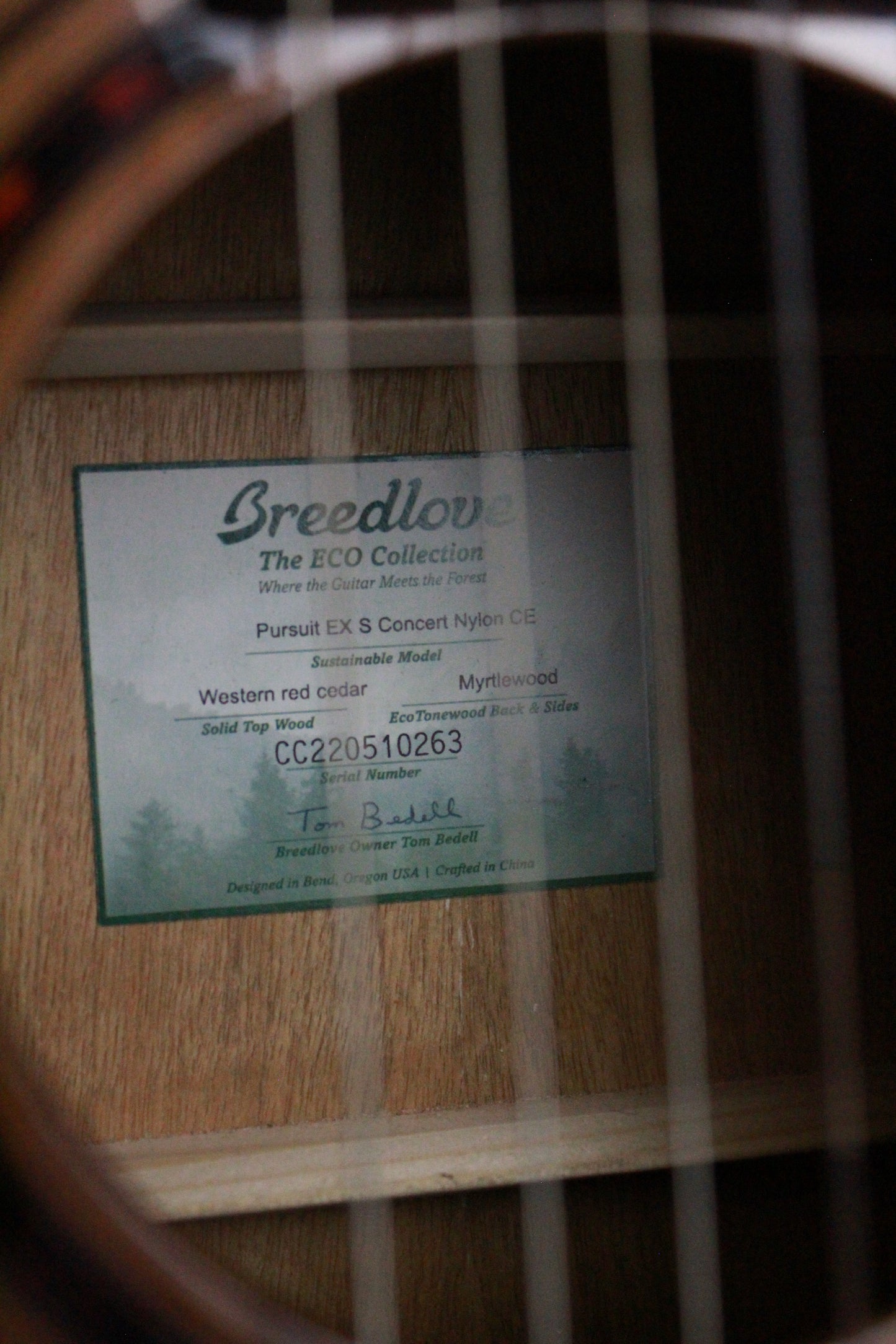 Breedlove Pursuit EX S Concert Nylon CE (USED)