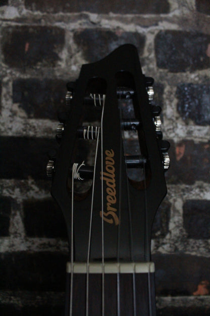 Breedlove Pursuit EX S Concert Nylon CE (USED)